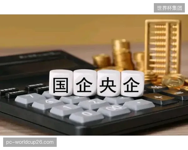 从政府的“代理”转为国企的“外包”，这种“伪独立”能否真正激发体育NPO的社会价值创造力？